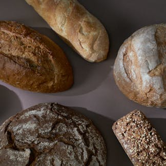 A selection of artisan breads displayed on a flat surface, showcasing diverse textures and styles.